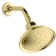 Devonshire Full/Standard Fixed Shower Head, 1.75 GPM