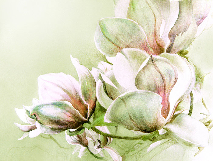 Himmet Matte Peel & Stick Mural, 152 x 104cm