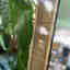 Customer photo 3 of 3