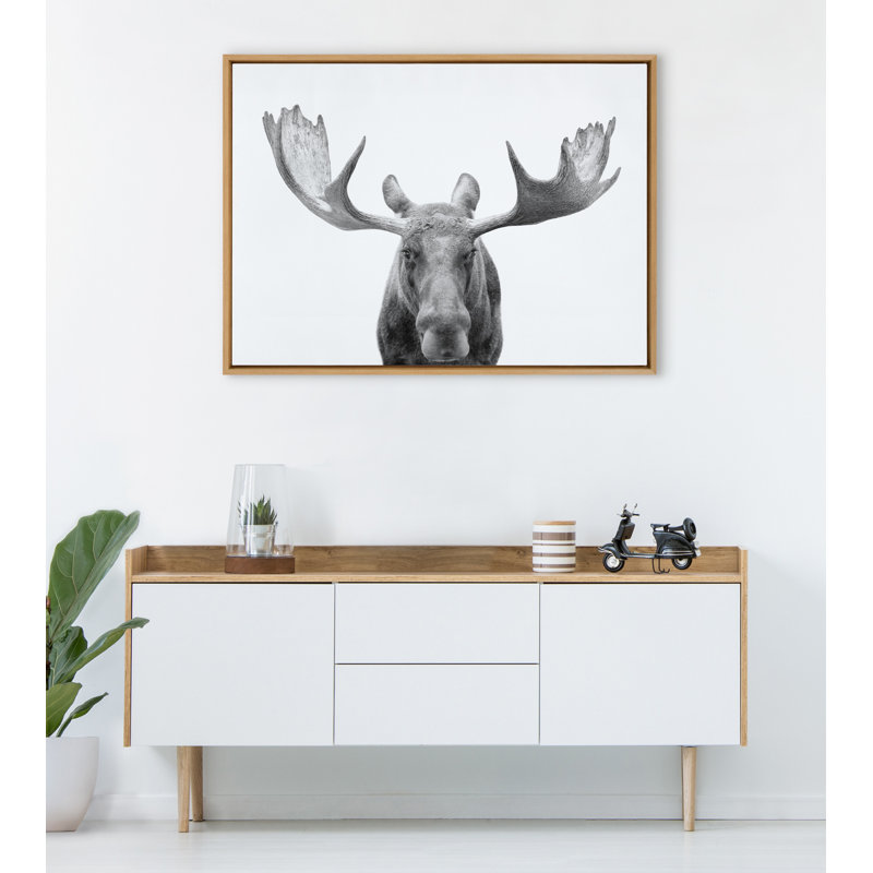 «Moose Black and White» par Amy Peterson, reproduction d'art sur toile encadrée, Tanné, Tanné