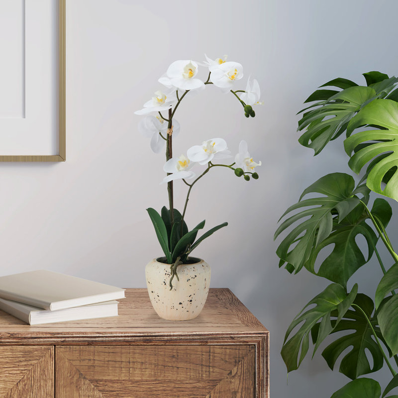 Orchidée artificielle réaliste 22 po avec pot décoratif Mikasa, blanc