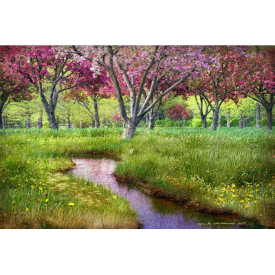 " Summer Spring " by Chris Vest
