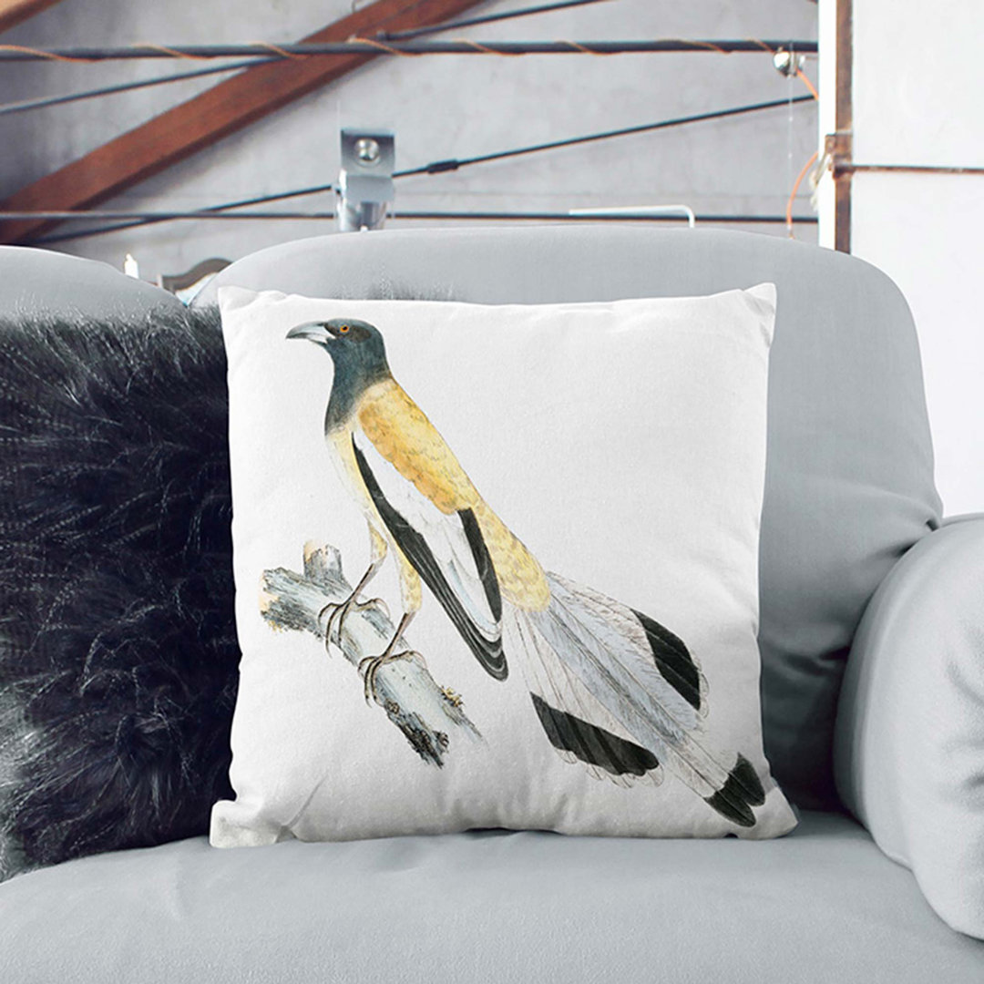 Rufons Magpie by John Edward Gray Cushion with Filling