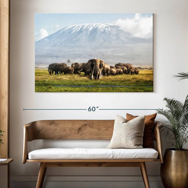 Alvord Tim Tusker Kilimandjaro, H 34 po x l 51 po