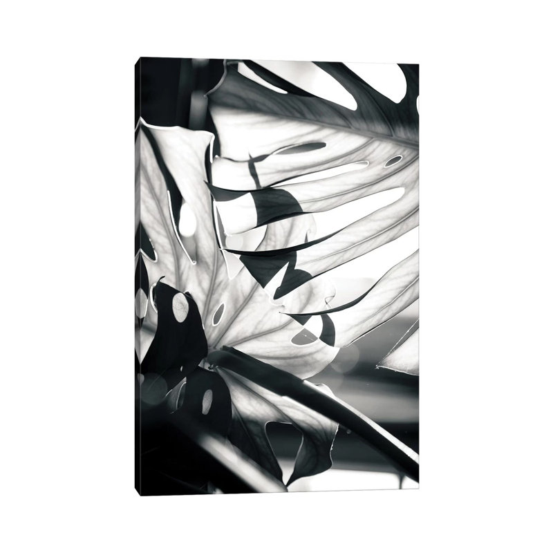 Mono Leaves 1 Piece Wrapped Canvas Painting, 101.6 cm H x 66.04 cm W x 3.175 cm D