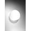 Floreat Flush Mount-1992065899-1931944891