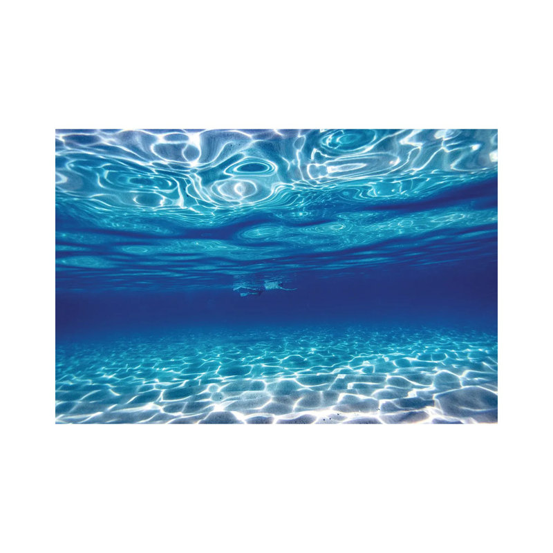 Swim In Blue by Sean Davey - Wrapped Canvas Gallery-Wrapped Canvas Giclée, 20.32 cm H x 30.48 cm W