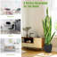 93cm Faux Snake Plant (Sansevieria) Plant