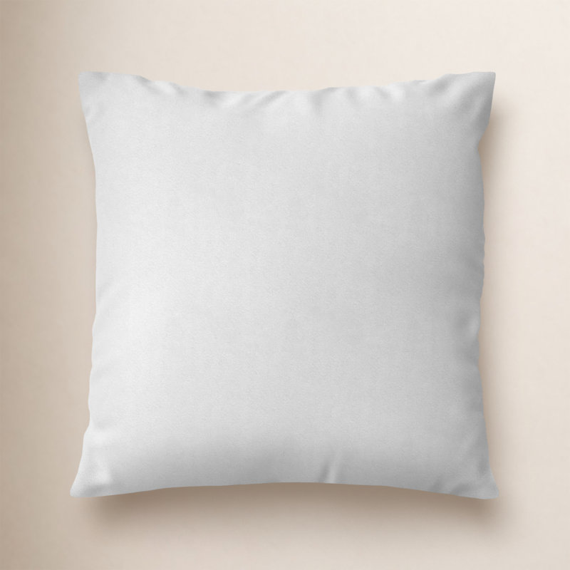 Coussin à découvrir de base Roshina, 20 po X 20 po