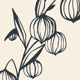 Rouleau de papier peint lisse 26,25 pi x l 27,56 po Lantern Flower