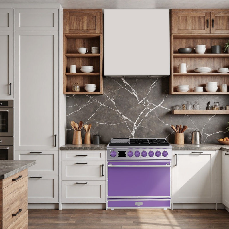 Combiné de cuisinière à gaz autoportant Akicon, comprend des brûleurs scellés, un four à convection rapide, un combustible convertible (GN / PL), une grille en fonte durable (APSAPSB3)