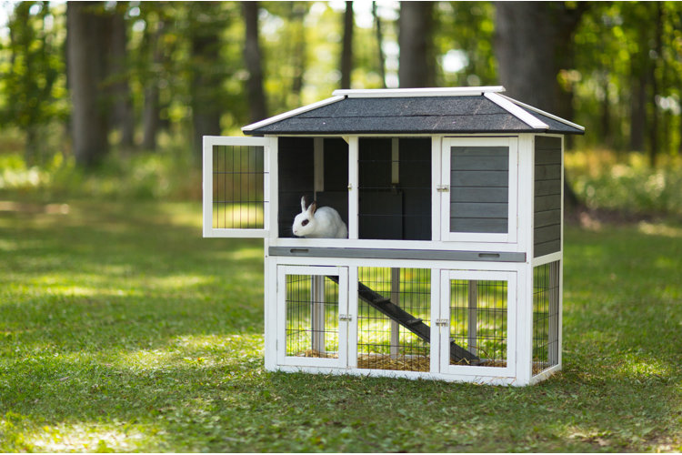 gray wooden rabbit hutch with two levels