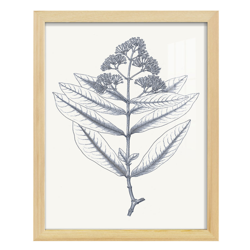 Indigo Botany Study I - impression d'un cadre photo, H 15 po x l 12 po x P 1 po, Naturel