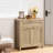 Safura 30'' Sideboard With 1 Drawer and 2 Doors-1364156427