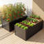 Ensemble de 2 lits de jardin surélevés en métal galvanisé 6 x 3 x 2 pi, boîtes à fleurs en acier de couleur antirouille pour légumes, herbes et fleurs d'extérieur