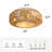 Andrell 20" W 8-Blade Caged Ceiling Fan