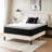 Wayfair Sleep™ 12" Plush Pillow Top Hybrid Mattress-66575439