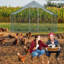 Emmeric Walk In Chicken Run-334501132-335317305