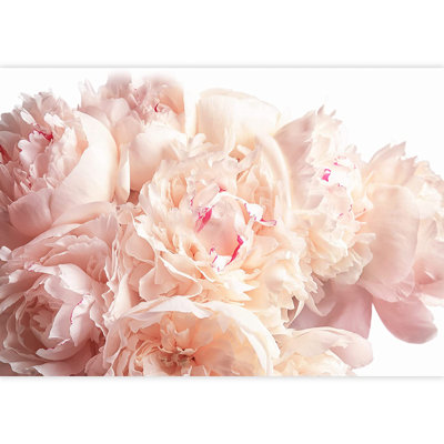 Peel & Stick Floral Border