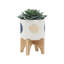 Pot à fleurs en céramique polyvalent avec support pour diverses plantes et espaces