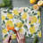 Glass Cutting Board