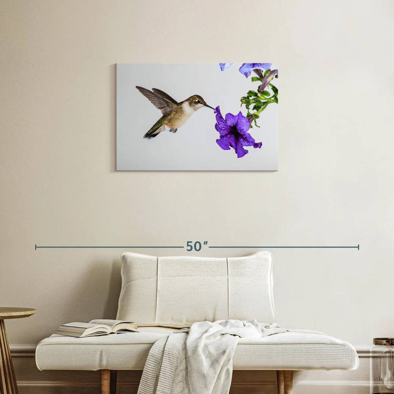 Colibri fleur mauve Brampt, H 20 po x l 30 po
