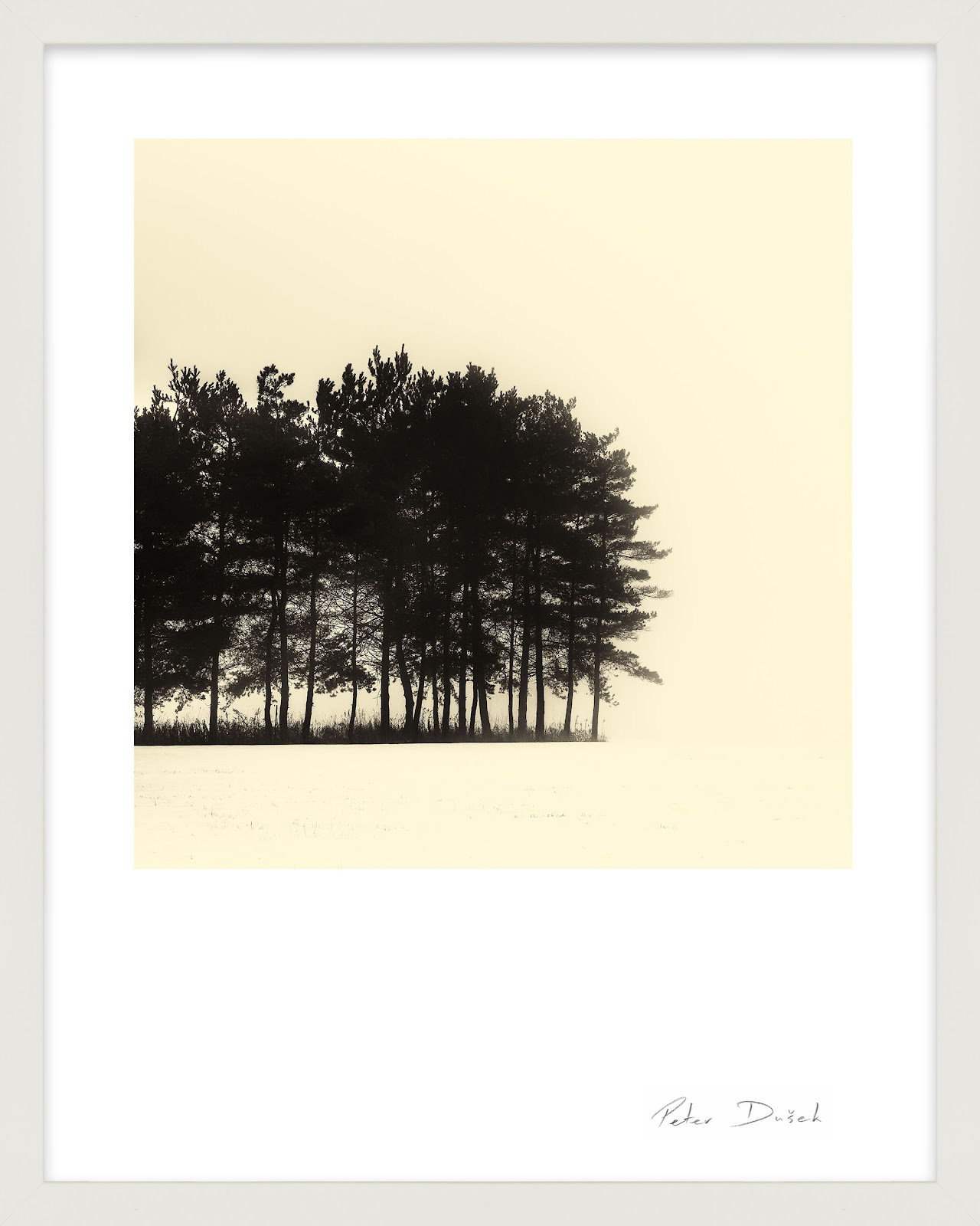 Garden Sign "Copse" Print by Peter Dušek, White, 20" H x 16" W x 1.25" D