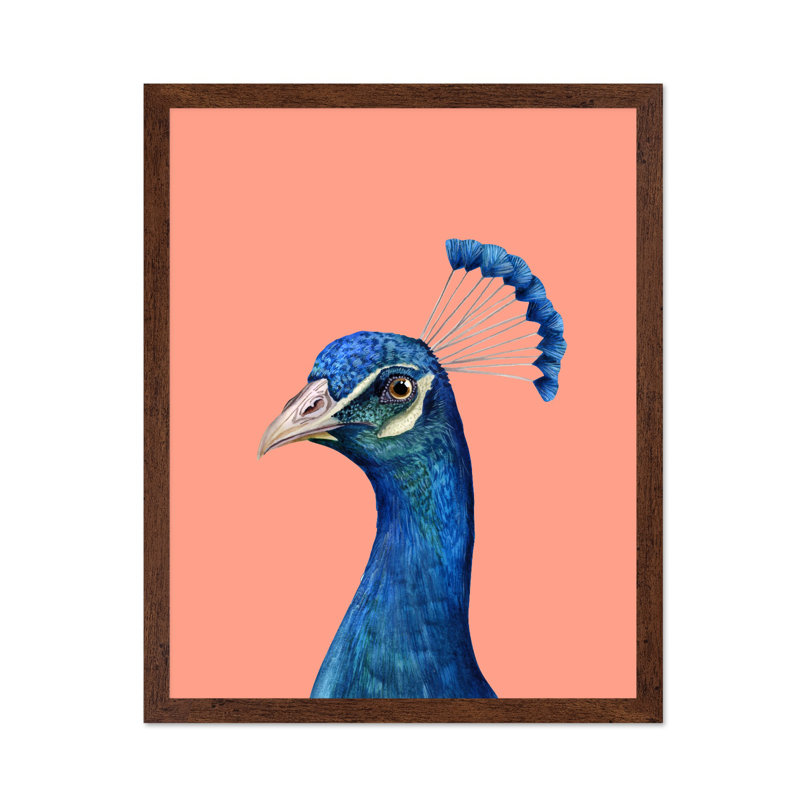 Portrait de paon, 16"H x 20"W, Poster, Brown Framed