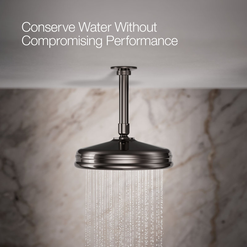 Traditional Rain Shower Head, Vibrant Titanium