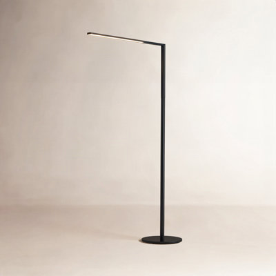 Lady7 52.05'' Dimmable LED Floor Lamp