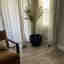 Customer photo 4 of 4