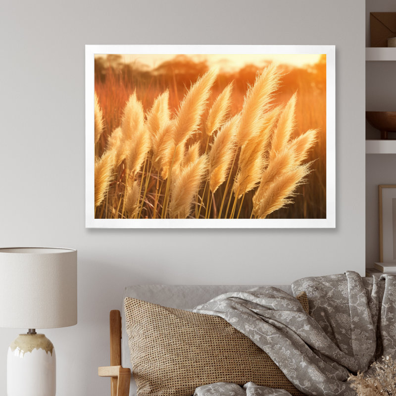 «White Pampas Meadows At Sunset» sur toile, H 34 po x l 44 po x P 1,5 po, Cadre simple blanc