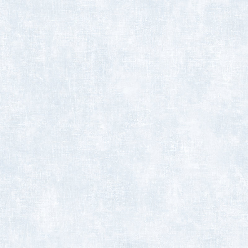  Rouleau de papier peint L 33 pi x l 20,5 po, L 33 po x l 20,5 po, Bleu