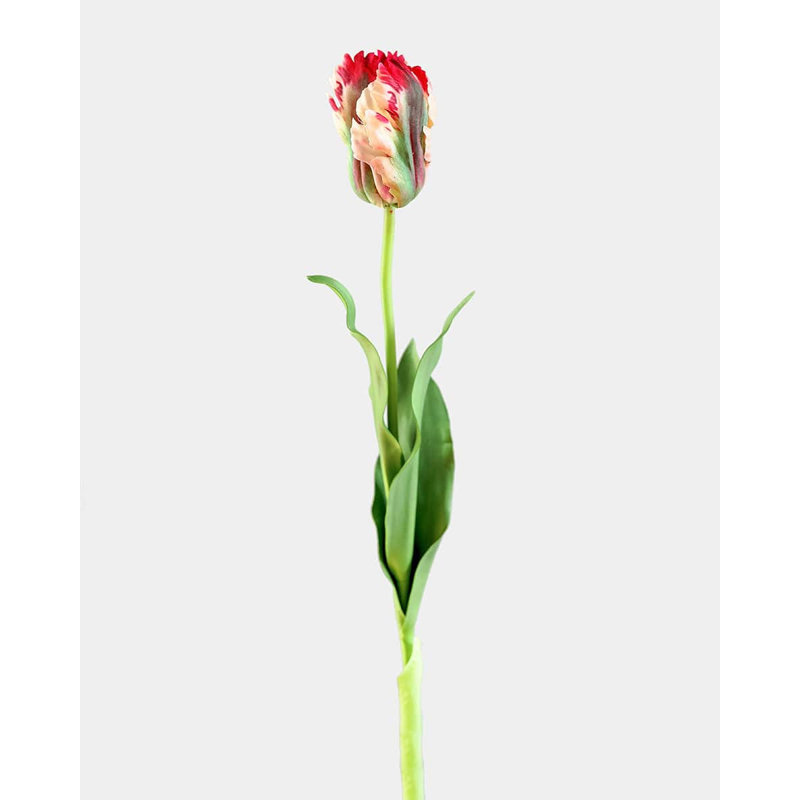 Perroquet citron tulipe Real Touch 27 po, Lemon Parrot