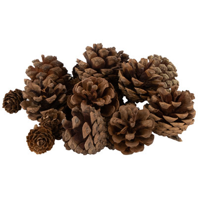 Ornaments Pinecones And Stars Christmas Decorations - 6"