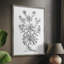 «B&W Plant Speciment VI», reproduction encadrée - bois massif-1044184563
