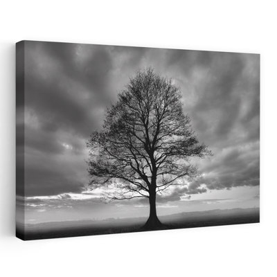 Great Tree - Landscapes Photography Sunrises And Sunsets Trees Art