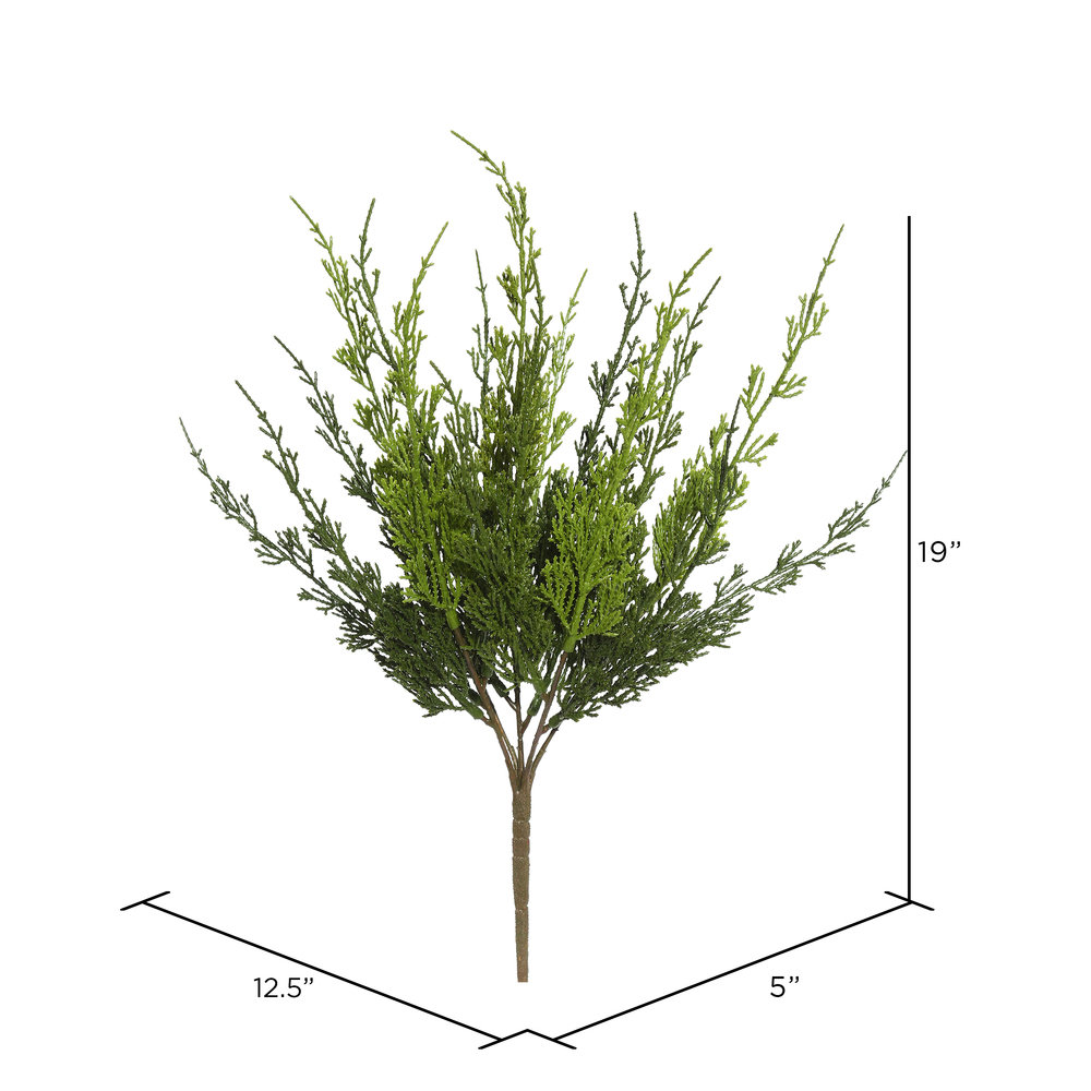 Cypress Floral Stems