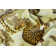 Ardmore Linen Fabric