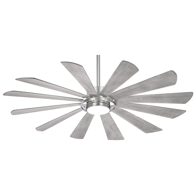 65" 12 - Blade Outdoor LED Smart Standard Ceiling Fan with Remote Control and Light Kit Included, Brushed Steel