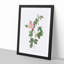 Dog Rose in Pink by Pierre-Joseph Redoute - Picture Frame Painting Print-55545495-55545500