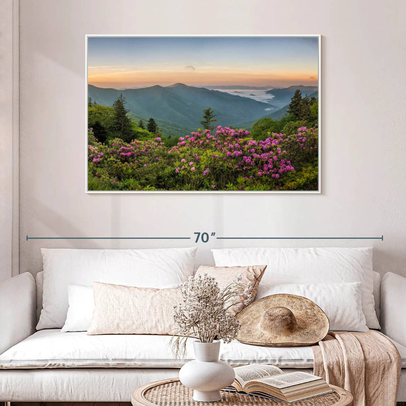 Blue Ridge Mountains View, Cadre flottant blanc, 46 po x 31 po