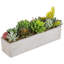 15.5cm Faux Succulent Plant in Cement Pot