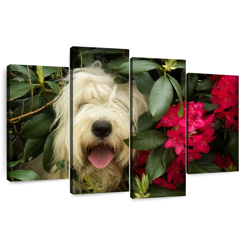 Hiding Sheep Dog