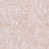 Plaster
