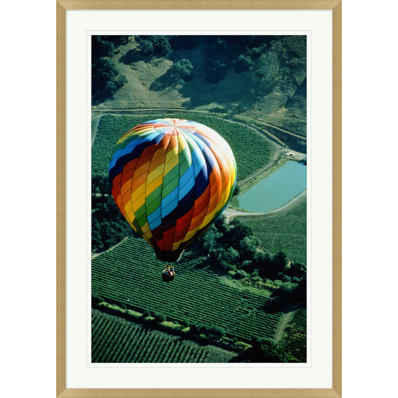 Balloon Over Vineyard 1 Print by Nathan Turner