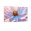Plantes et fleurs, pétales de fleurs pastel, couleurs douces, centre-1629862770-1629862780-1629862783