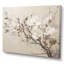 Beige de Magnolias «Dreamy» - art mural encadré Magnolias-117371315-117371323