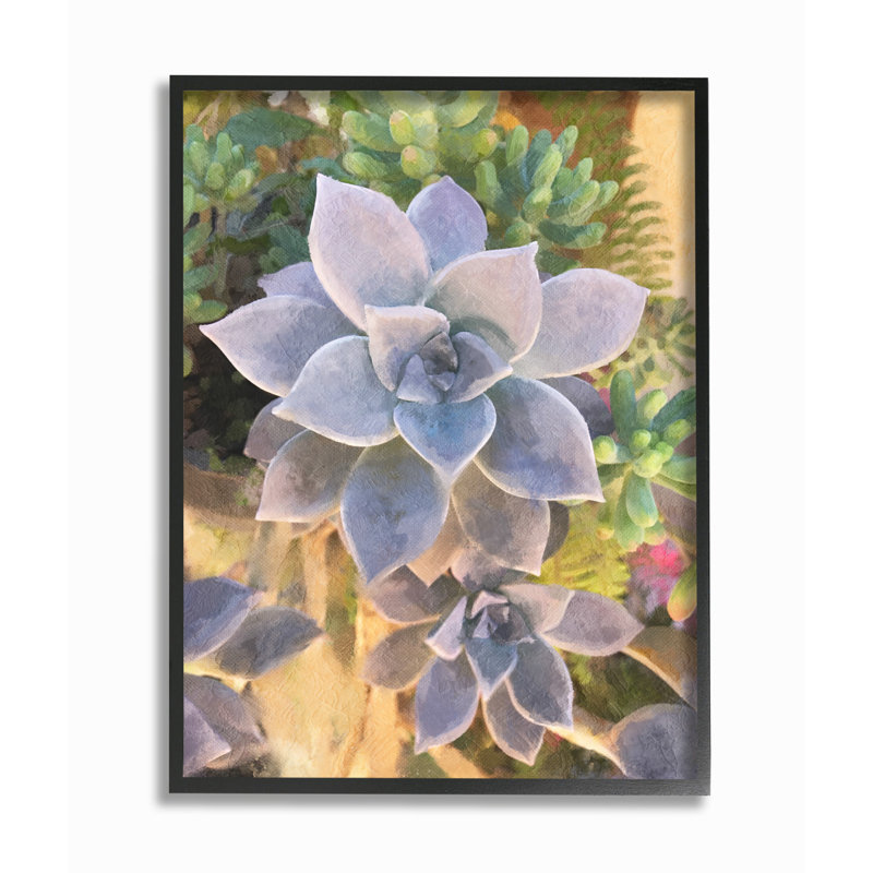 « succulent plante désert party », impression, Giclée encadrée noir minuit, H 14 po x l 11 po x P 1,5 po