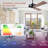 52" Farmhouse Wall Control Propeller Ceiling Fan without Light, Double-Sided Blades, 4 Speeds Reversible DC Motor-61422053